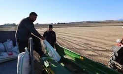 Buğday ekimi başladı