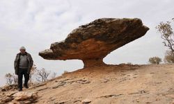 Buzul çağ kalıntısı: Tam 6 milyon yıl önceye ait