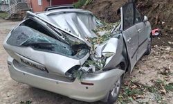 Devrilen ağaç bir aracı kullanılamaz hale getirdi