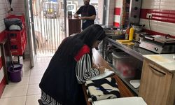 Gıda ürünleri mercek altında