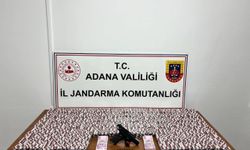 Jandarma 23 bin 876 uyuşturucu hap ele geçirdi