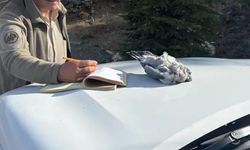 Kaçak avcılar ekiplere yakalandı