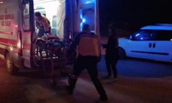 Köprüden düşen şahıs ağır yaralandı