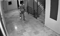 Kurye sipariş getirdiği binaya tuvaletini yaptı!