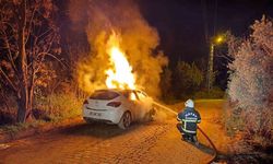 Otomobil alevlere teslim oldu