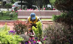 Seradan parklara uzanan yeşil yolculuk