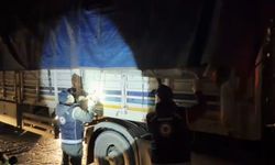 Tır dorsesinde 31 göçmen yakalandı