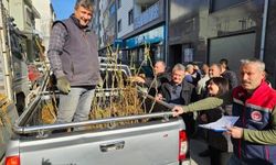 Üreticiye 4 bin sertifikalı fidan desteği