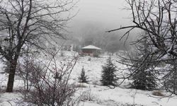 Yüksek kesimlerde kartpostallık kar manzaraları