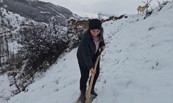 Yüksek kesimleri beyaza büründü