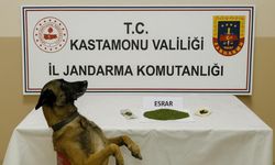 Zehir operasyonu: 1 tutuklama