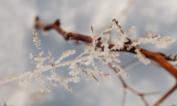 Eskişehir’de hava nasıl olacak? Meteoroloji’den buzlanma uyarısı