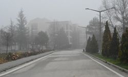 Eskişehir'de sis etkili oldu