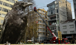 Doktorlar Caddesi’nde karga alarmı: İtfaiye harekete geçti