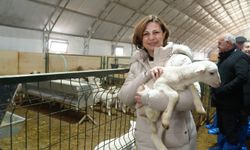 Kırsalda üreticiye destek: Aralık ayı dağıtımları başlıyor