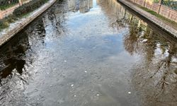 Soğuk hava Porsuk Çayı’nı dondurdu