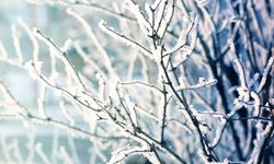 O bölgelere Meteoroloji'den don ve kuvvetli yağış uyarısı!