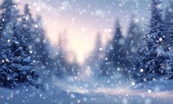 Eskişehir'e kar mı geliyor?