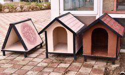 Patili dostlara kulübe bağışladılar...