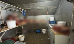 Eskişehir'in o ilçesinde skandal görüntüler!