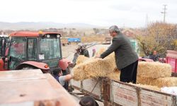 Tarım ve hayvancılığa güçlü destek