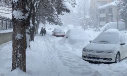 Türkiye'nin en soğuk bölgesi açıklandı!