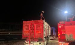 Seyir halinde talaş yüklü tır alev alev yandı!