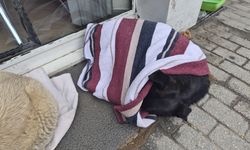 Soğuktan işte böyle korundu!