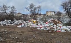 Boş arazinin son hali görenlerin tepkisini çekiyor!