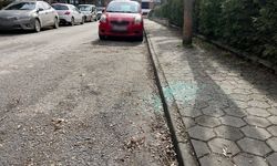 Eskişehir'de o sokakta hırsızlık alarmı!