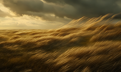 Eskişehir için kuvvetli rüzgar uyarısı