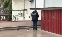 Çatıdan düşen adam hayatını kaybetti