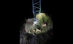 Facianın eşiğinden dönüldü: Dev kaya elektrik direğine çarparak durabildi