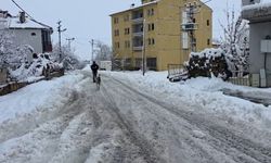 Kar hayatı durdurdu: Yollar kapandı, okullar tatil edildi