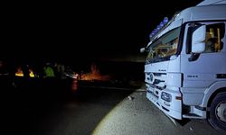 Köpekler nedeniyle otoyolda can pazarı!