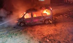 Ticari araç alevlere teslim oldu