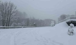 Yüksek kesimlerine lapa lapa kar yağıyor