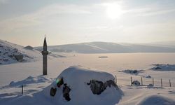 110 köy yolu ulaşıma kapandı yaşam adeta durdu!