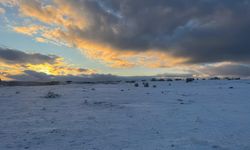 Çimsa’dan Eskişehir kararı: Bozüyük sahası ruhsatı iptal ediliyor