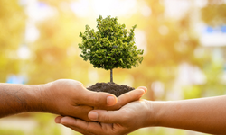 Orman faaliyetleri raporu açıklandı: Eskişehir yeşile bürünüyor