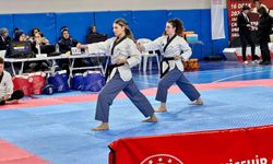 Taekwondo İl Şampiyonası yoğun katılımla gerçekleşti