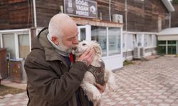 Eskişehir’de 625 patili dost sıcak yuvaya kavuştu