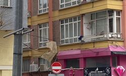 Uçan çatı parçası apartmanın dış cephesine takıldı!