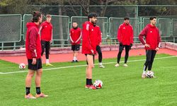 Anadolu lideri devirmeye gidiyor!