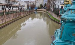 Porsuk Çayı'nın rengi değişti!