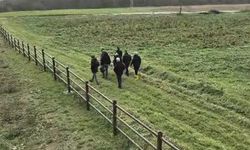 20 yıllık kayıp dosyası cinayetle sonuçlandı