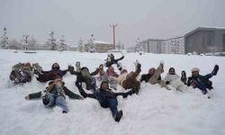 Belçikalı turistler Erzurum'da karda gönüllerince eğlendi