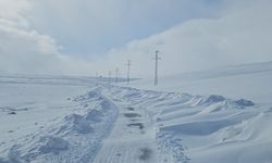 Kar nedeniyle 19 köy yolu ulaşıma kapandı