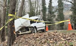 Otomobil ağaca çarptı: 1 ölü, 2 yaralı