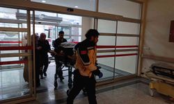 Otomobil şarampole devrildi: 5 yaralı